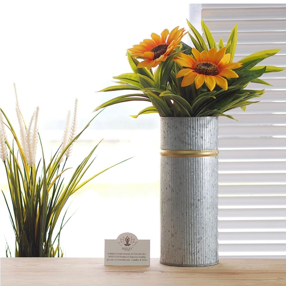 Hosley Set of 2 Galvanized Vases with Gold Rim